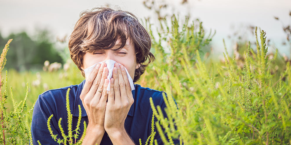 Allergia da erba: sintomi e rimedi in farmacia