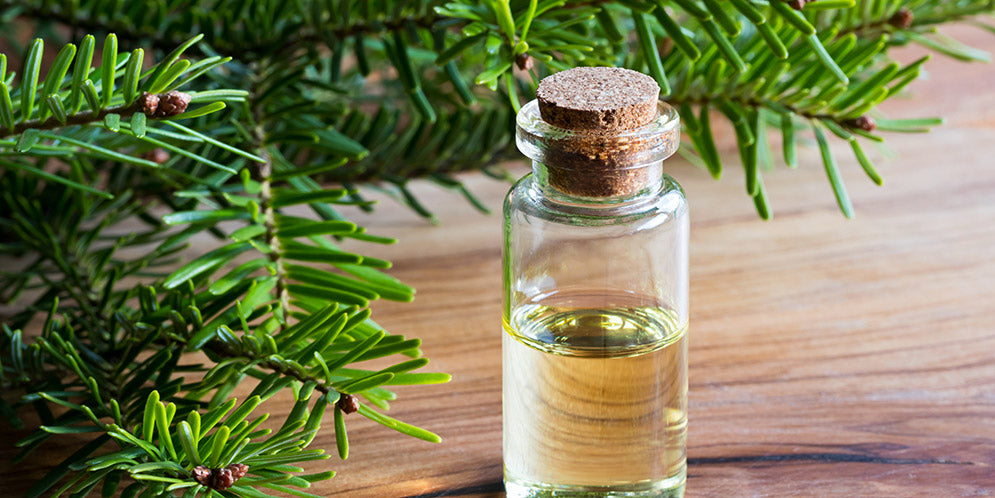 Tea Tree Oil a cosa serve e come usarlo