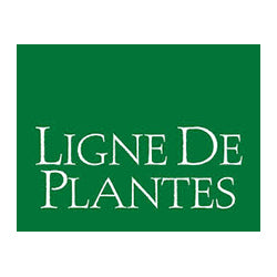 LIGNE DE PLANTES