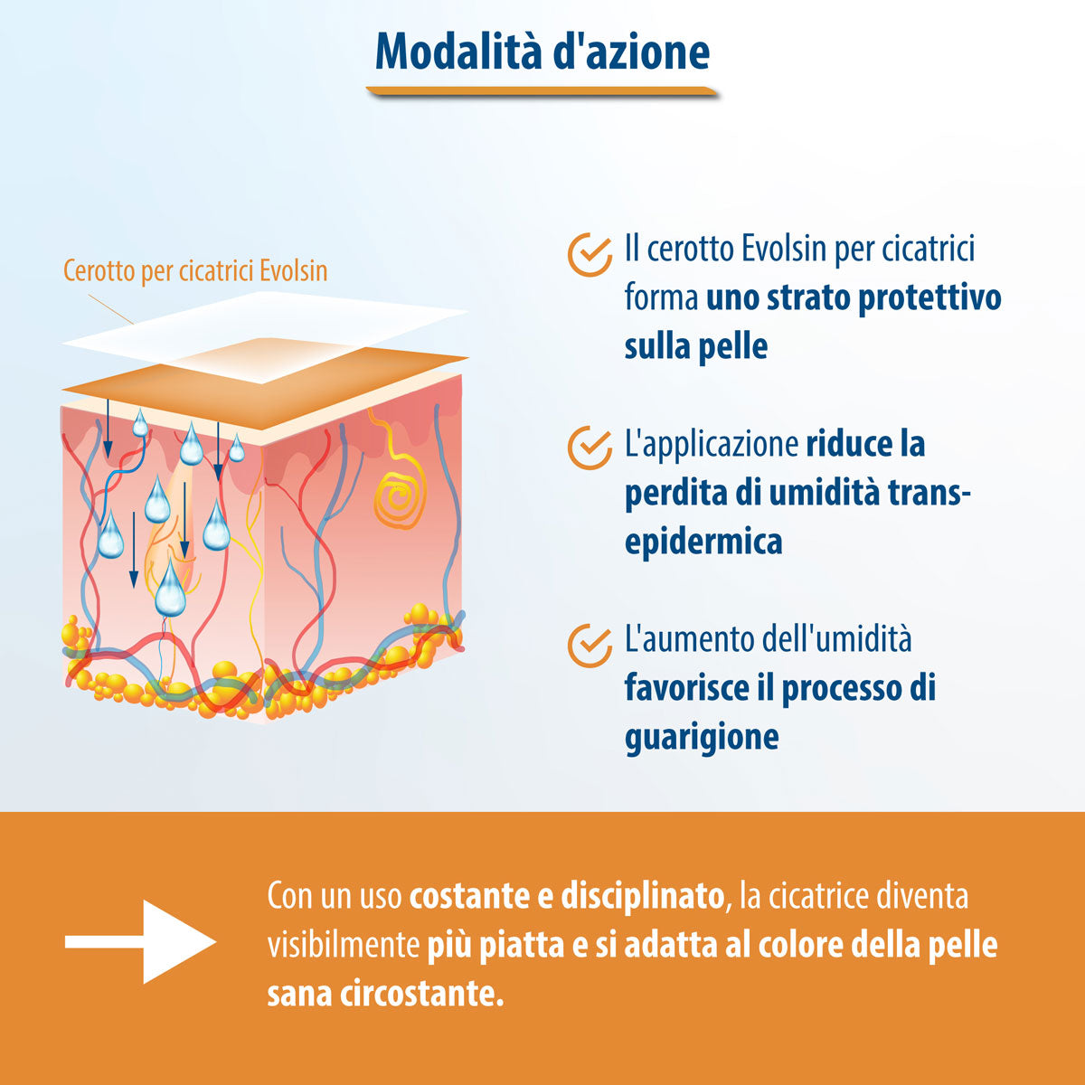 Evolsin Cerotto Trasparente per Cicatrici Di Ogni Tipo 2 Metri