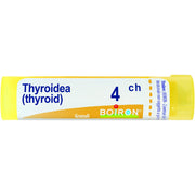 Boiron Thyroidea (Thyroidinum) Granuli 04Ch Tubo 4g