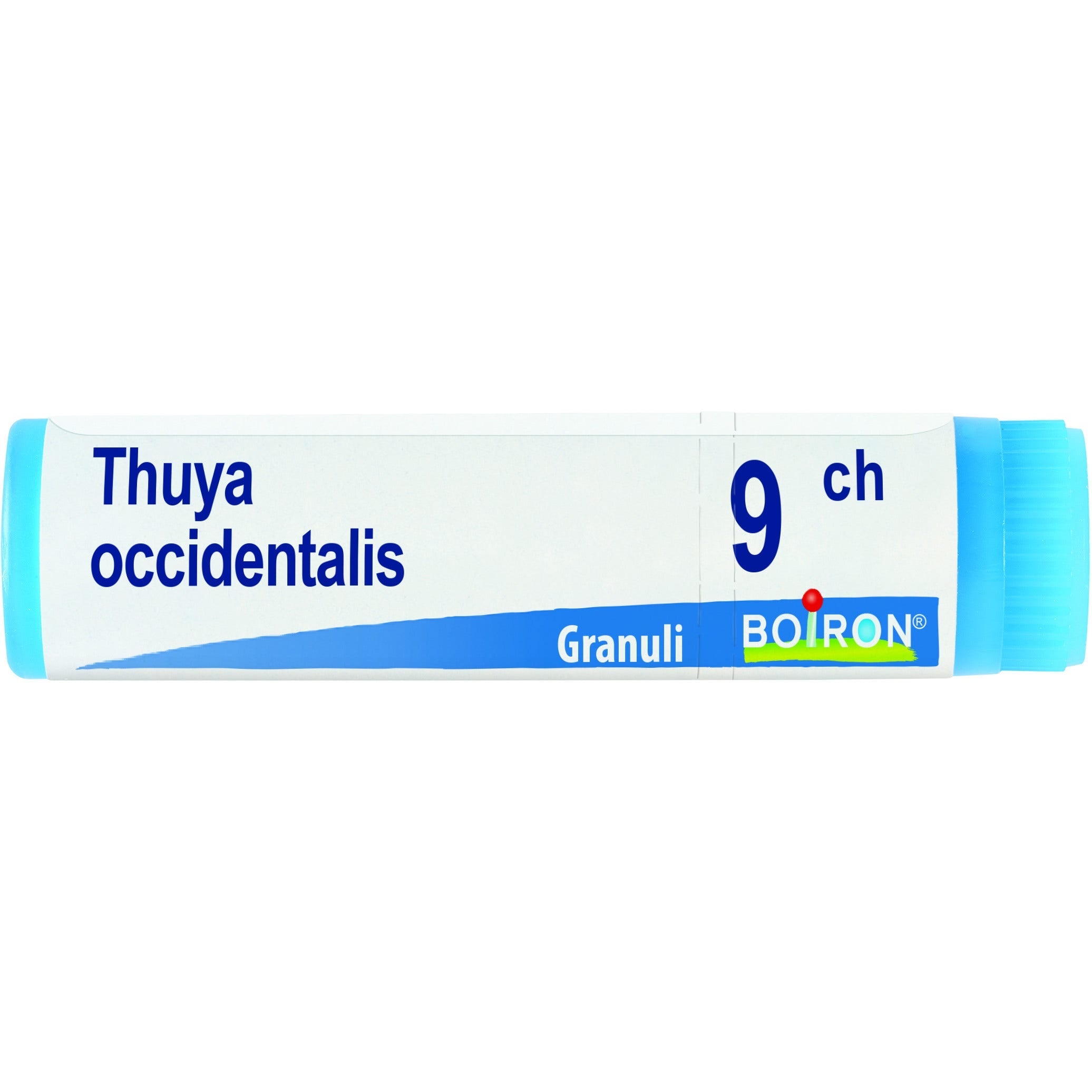 Boiron Thuya Occidentalis Globuli 09Ch Dose 1g