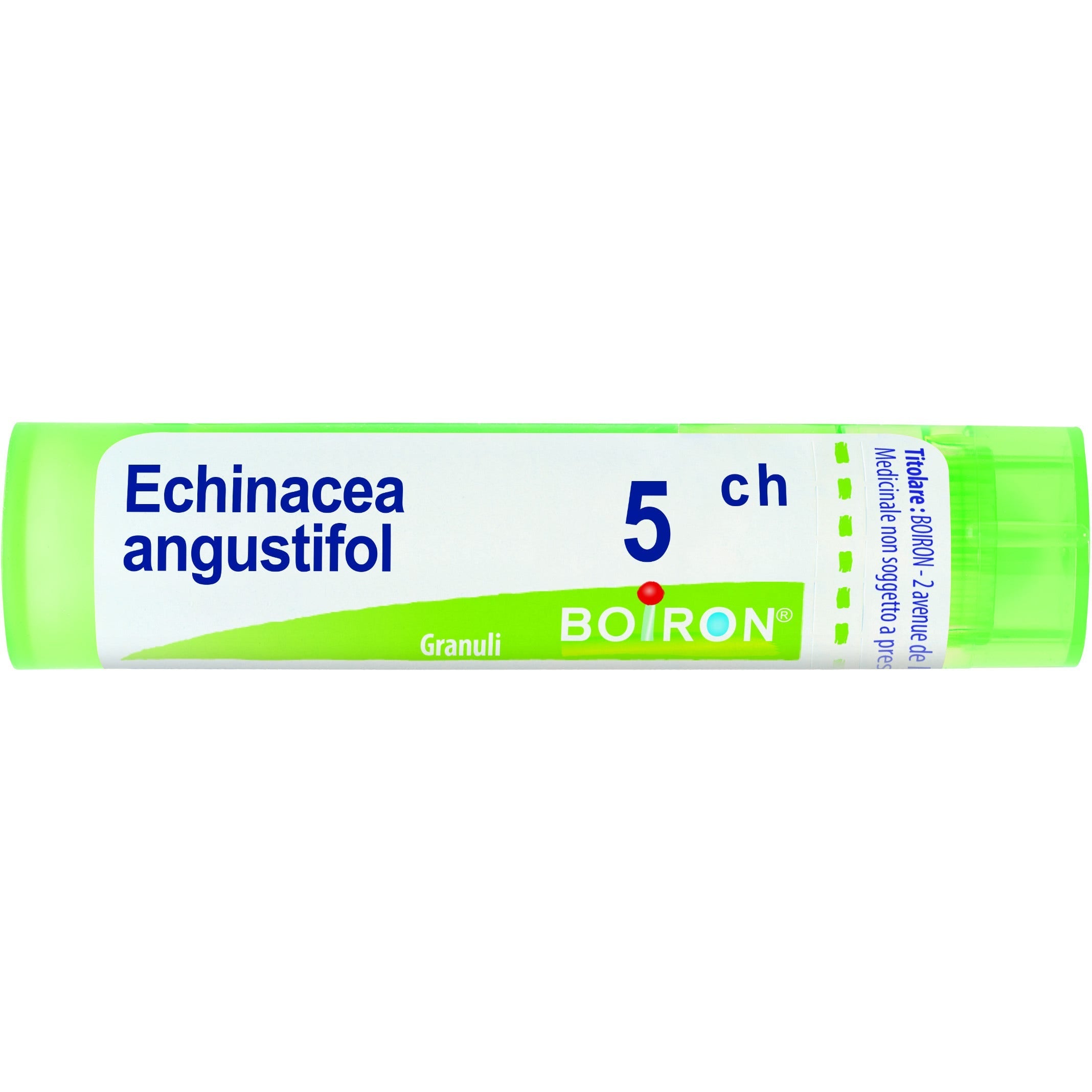 Boiron Echinacea Angustifolia Granuli 05Ch Tubo 4g