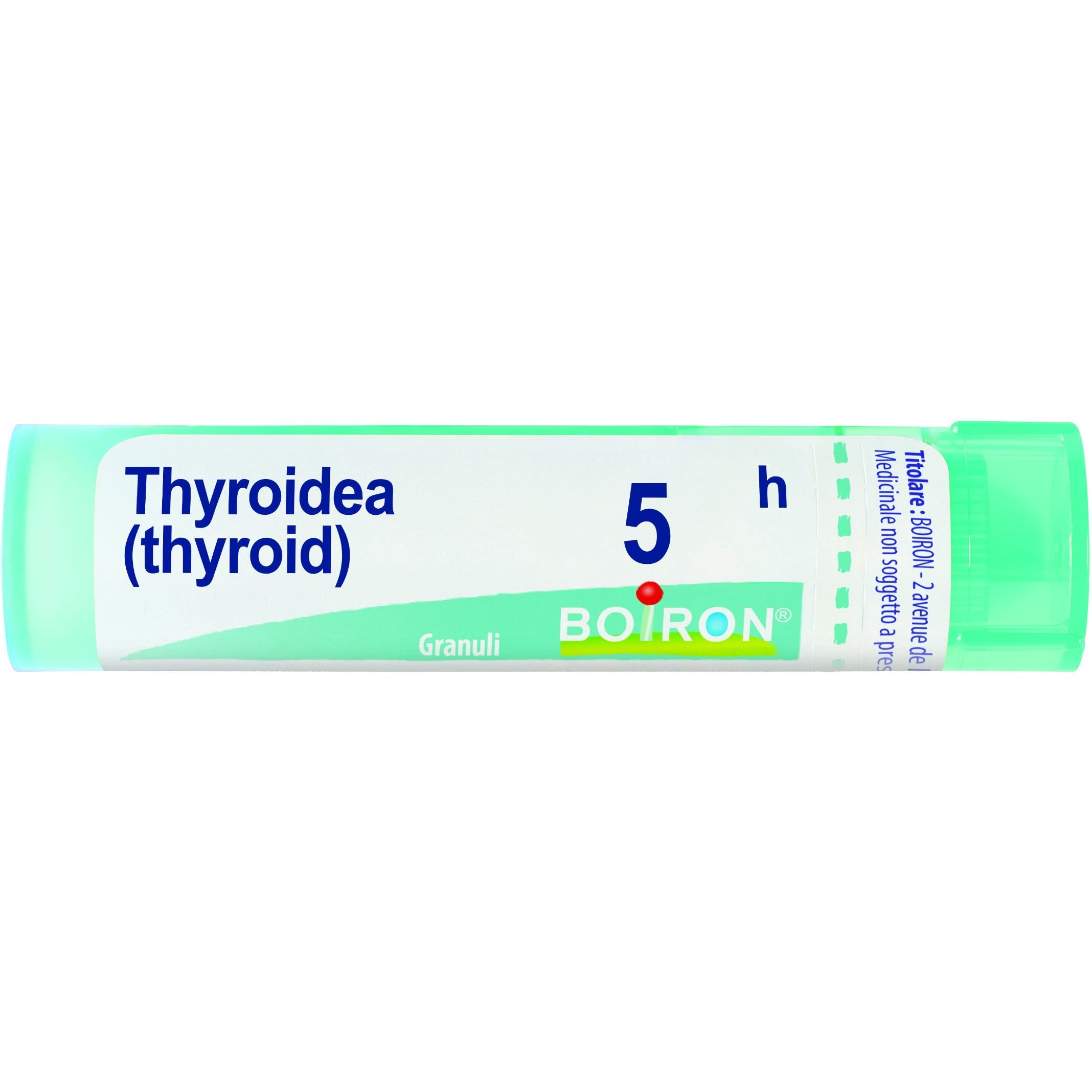 Boiron Thyroidea (Thyroidinum) Granuli 05H Tubo 4g