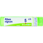 Boiron Ribes Nigrum Granuli 05Ch Tubo 4g
