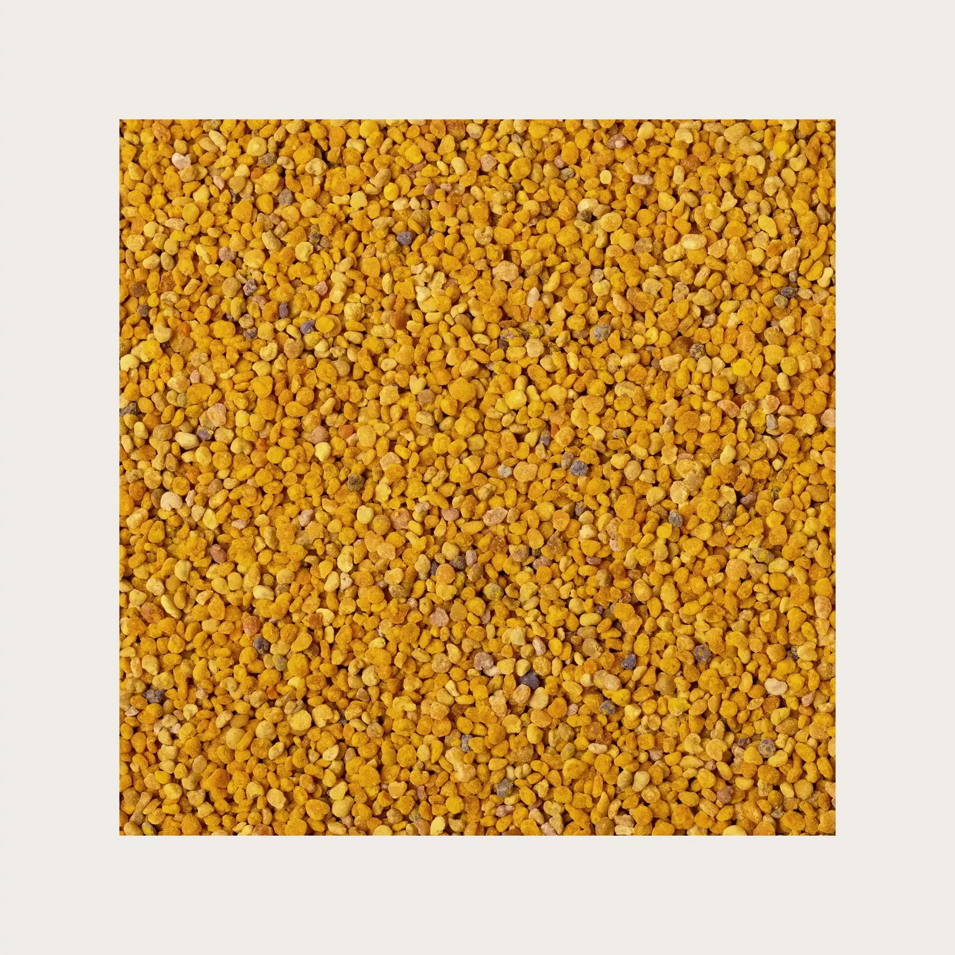 Polline 1kg