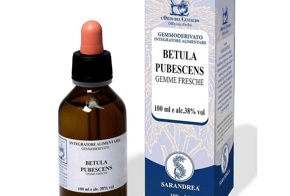 Betula pub gemme 100ml