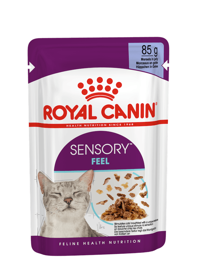 Royal Canin Sensory Feel Straccetti In Gelatina Per Gatti Adulti Bustina 85g