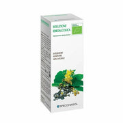 Achillea 51 50ml tintura madre