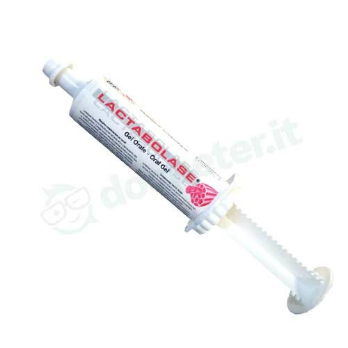 Acme Lactobalase Gel Integratore Muscolare Cavalli 100 Gr