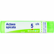 Actaea spicata 5ch 80gr 4g