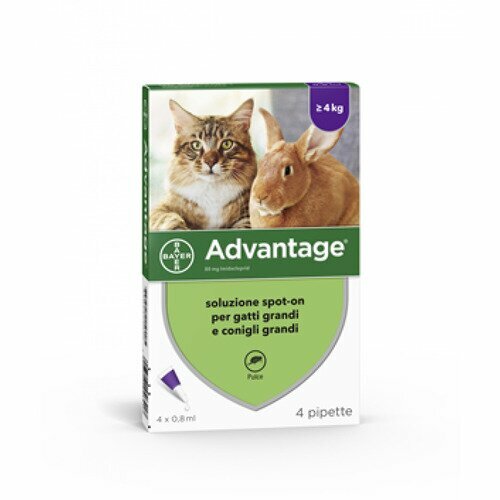 Advantage Spot-on 4 Pipette 0,8 ml Gatti e Conigli Grandi