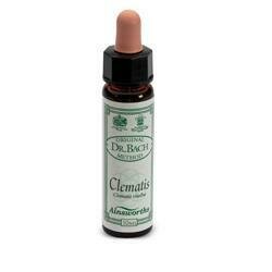 Ainsworths clematis 10ml