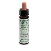 Ainsworths honeysuckle 10ml