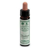 Ainsworths hornbeam 10ml