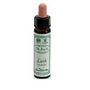 Ainsworths larch 10ml