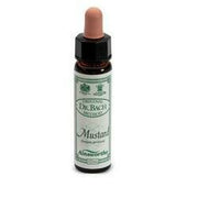 Ainsworths mustard 10ml