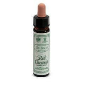 Ainsworths red chestnut 10ml