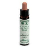 Ainsworths scleranthus 10ml