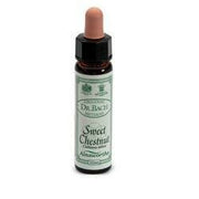 Ainsworths sweet chestnut 10ml