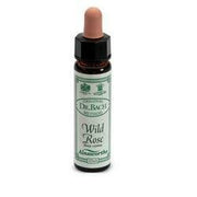 Ainsworths wild rose 10ml