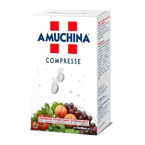 Amuchina compresse 1g 24 pezzi