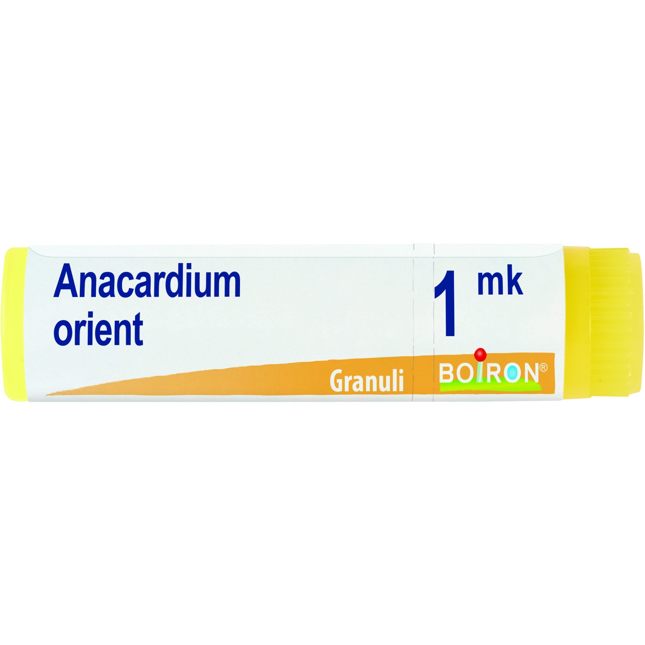 Anacardium orien mk gl