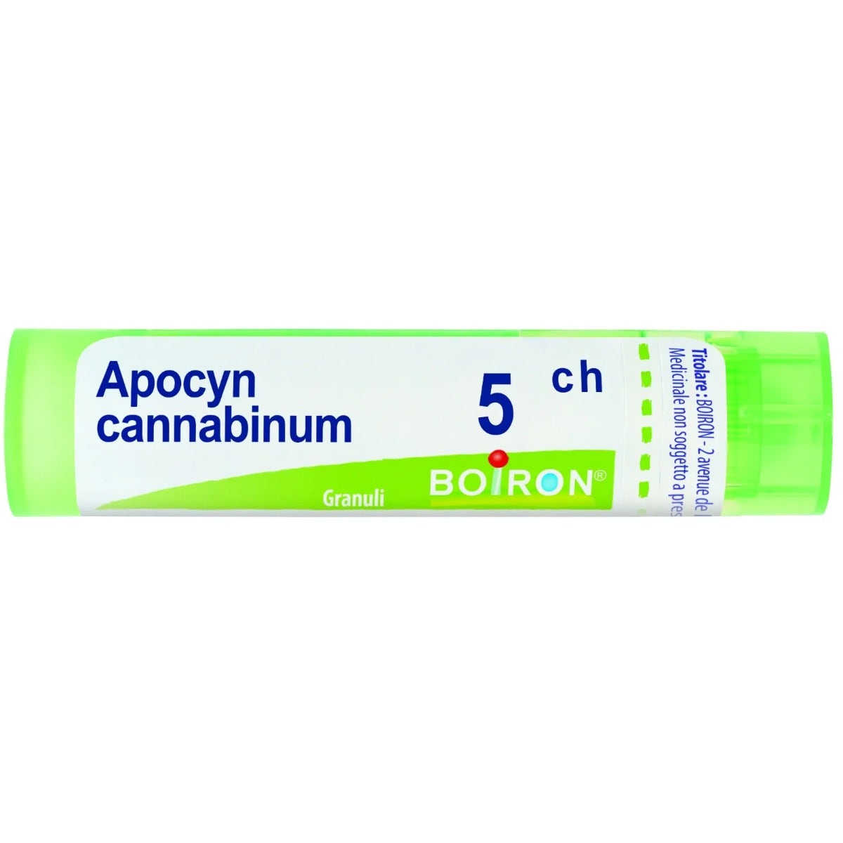 Apocynum cannabinum 5ch gr