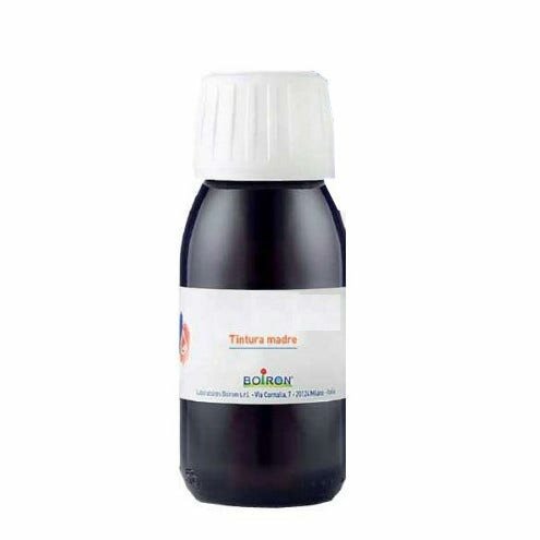 Arnica montana tintura madre 60 ml