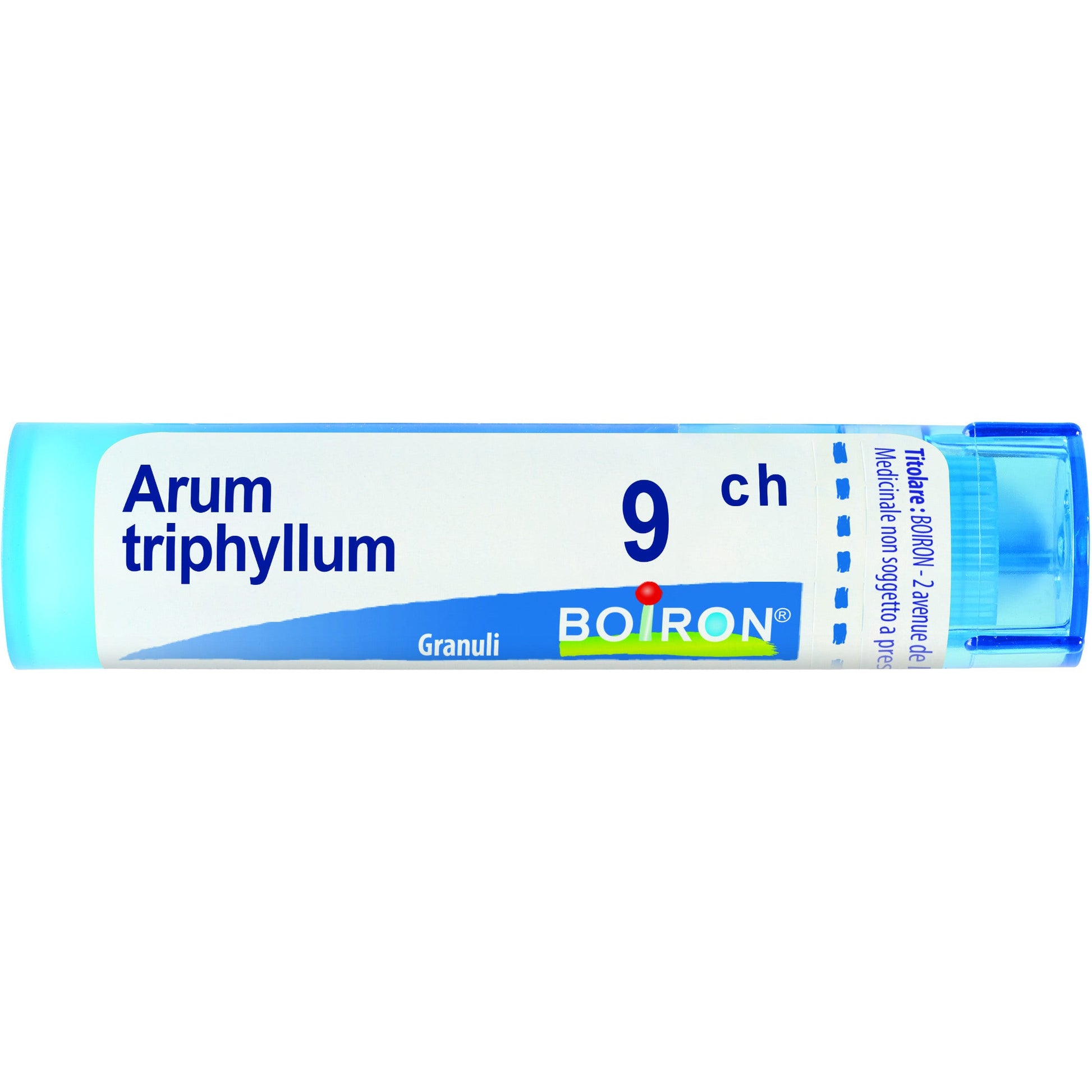 Arum triphyl boi 9ch 80gr 4g