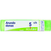 Arundo donax 5ch gr