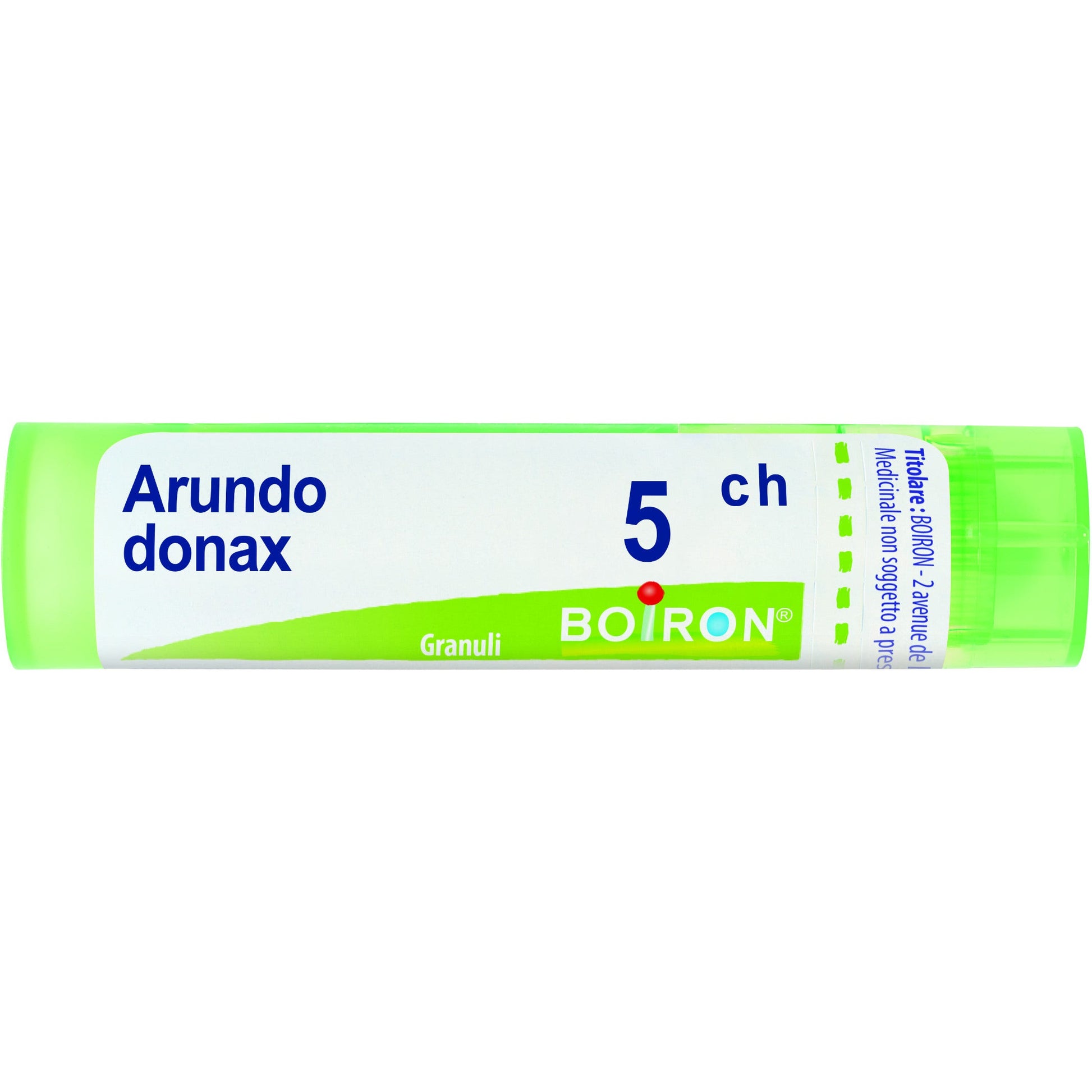 Arundo donax 5ch gr