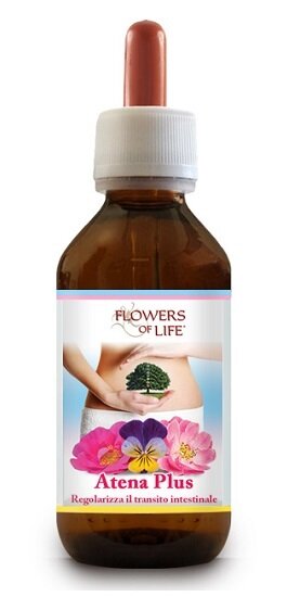 Atena plus 100 ml flowers of life