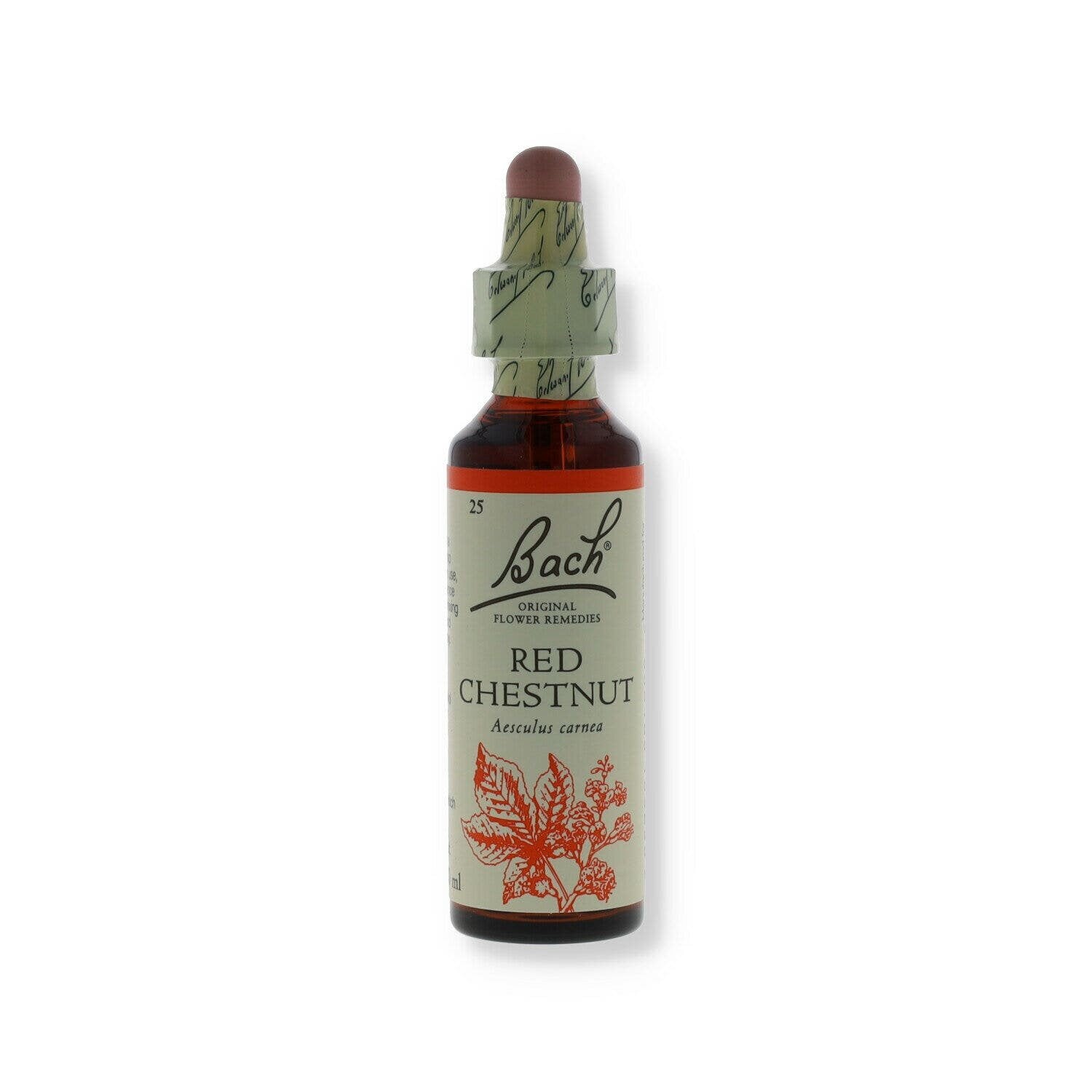 Bach center ess red chestnut20