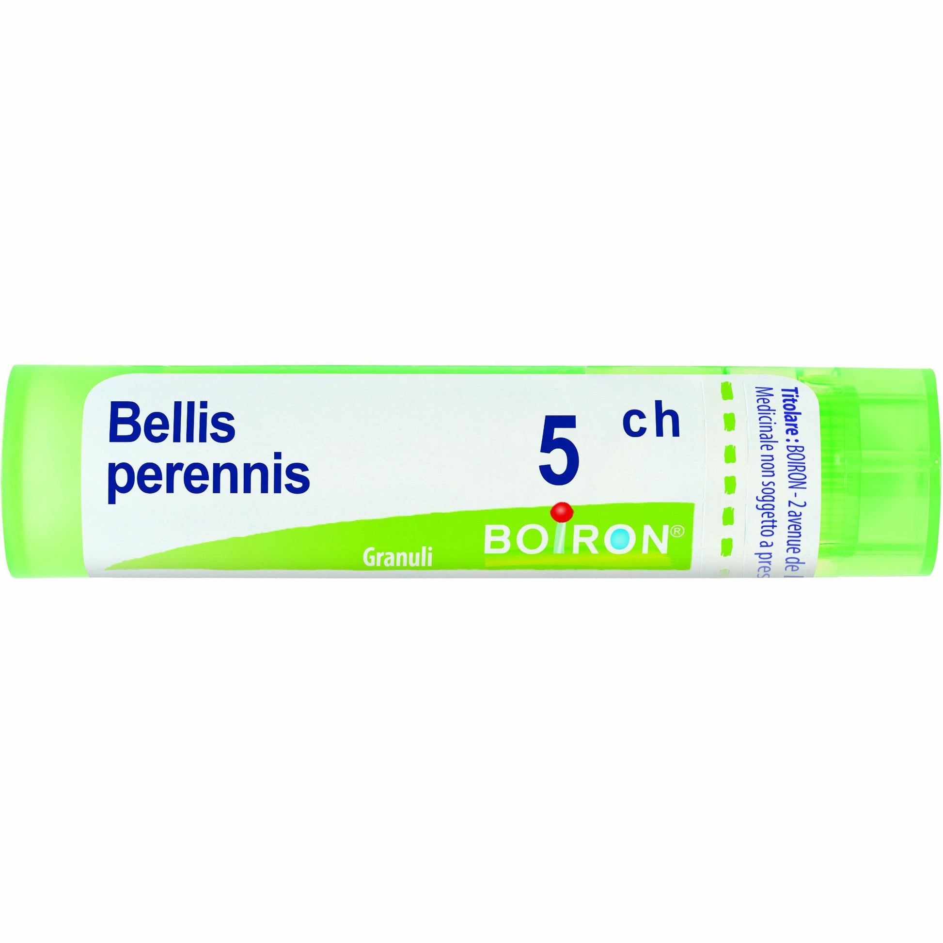 Bellis perennis 80 granuli 5 ch contenitore multidose