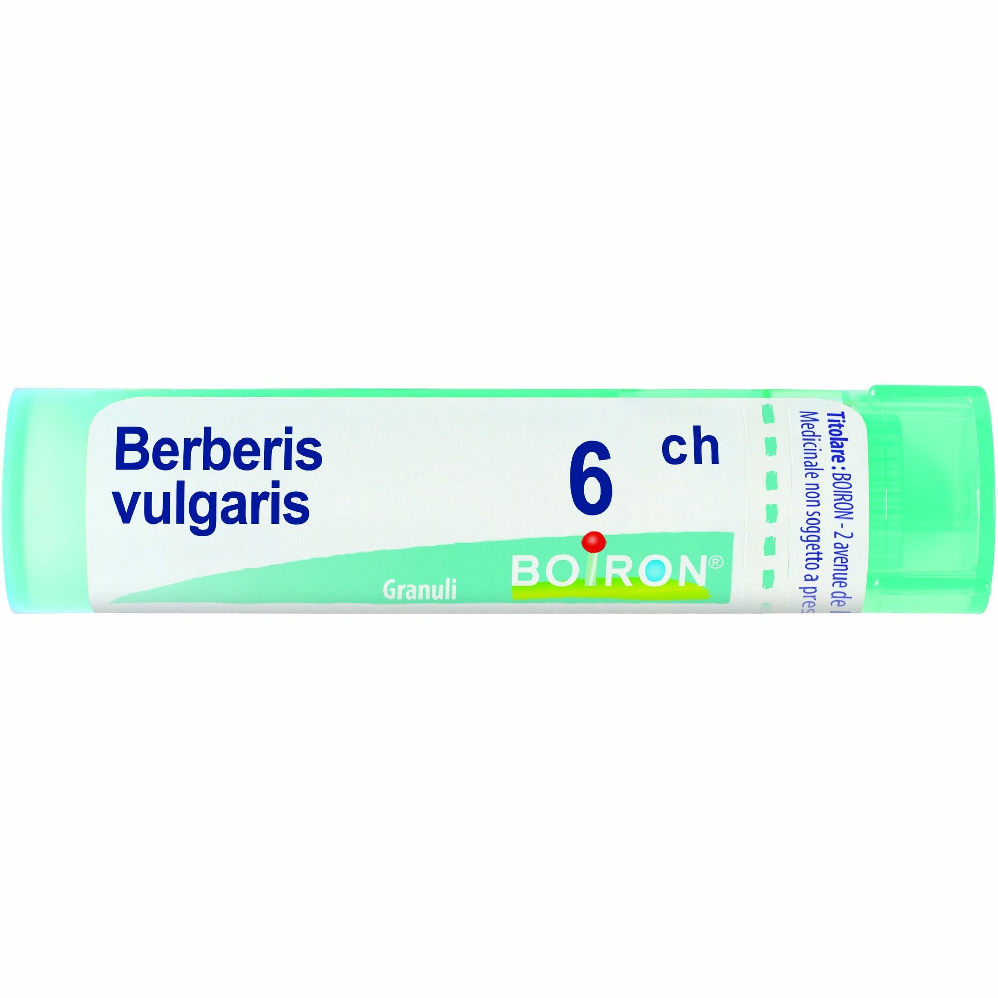 Berberis vulgaris 6ch 80gr 4g