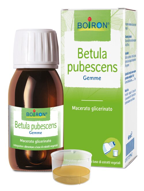 Betula pubescens macerato glicerico 60 ml int