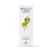 Betulla linfa gd 50ml