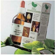 Betulla macerato glicerico 100 ml
