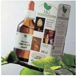 Betulla macerato glicerico 100 ml