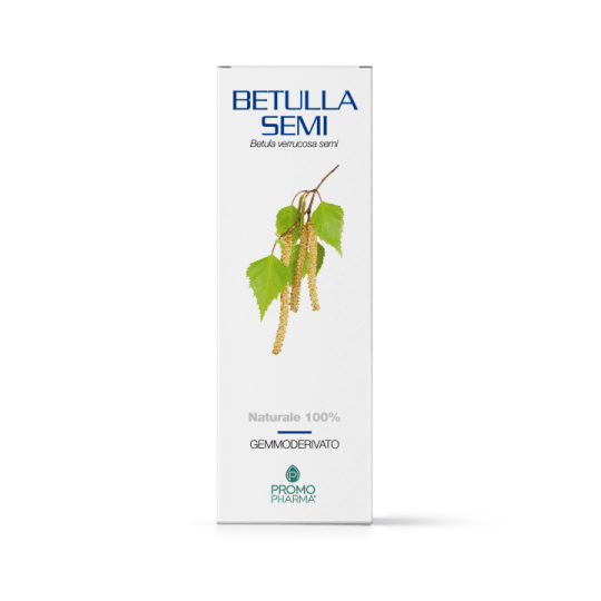 Betulla semi gemmoderivato50ml
