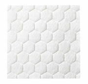 Biatain fiber tnt gel 10x10 10