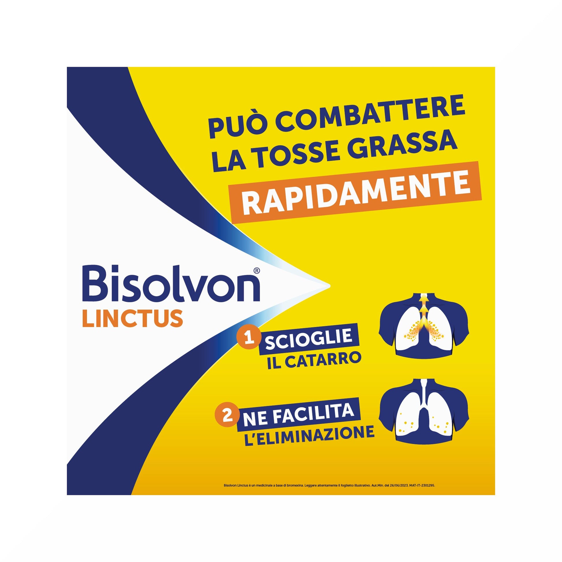 Bisolvon Linctus Sciroppo Mucolitico Tosse Grassa 250 ml