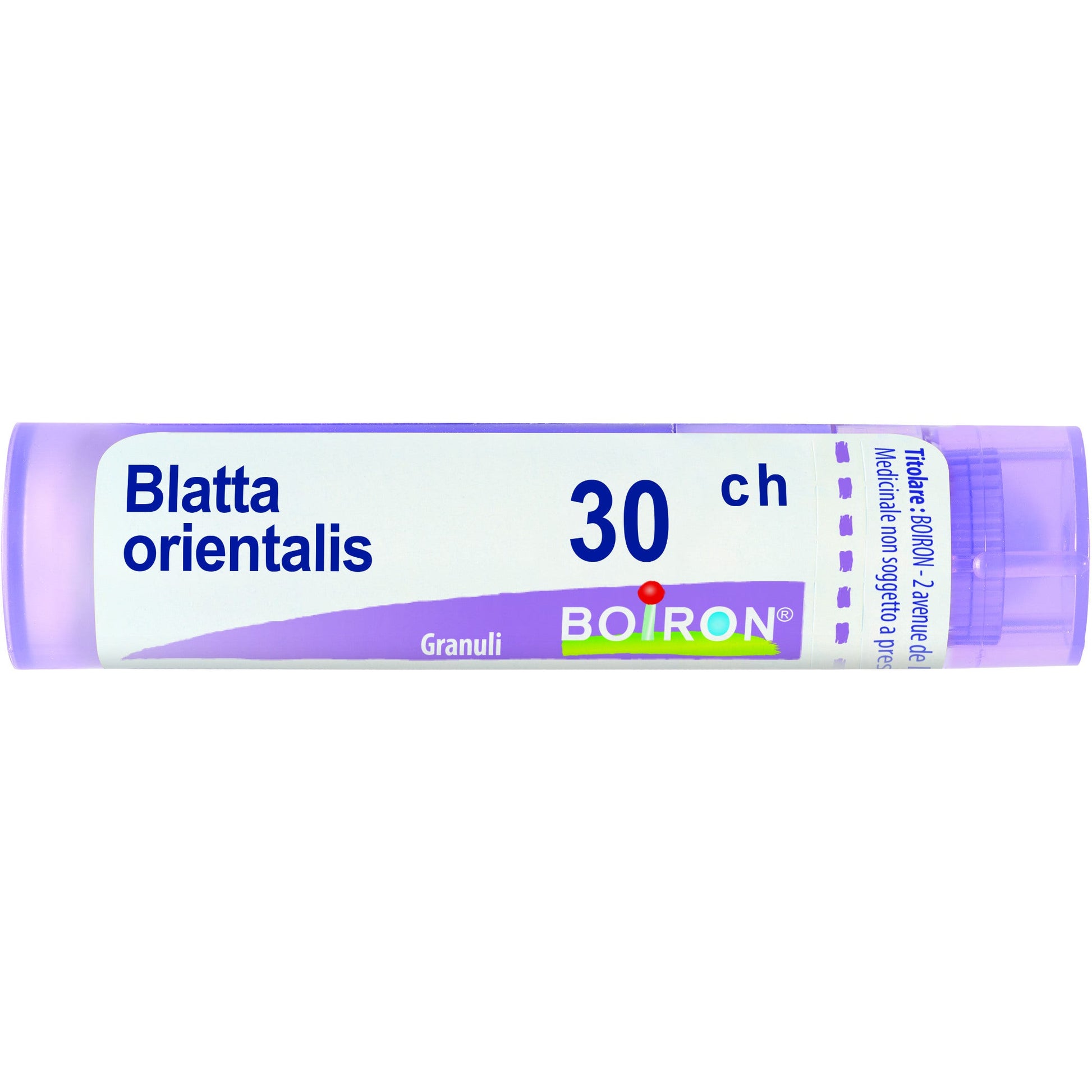 Blatta orientalis 30ch gr