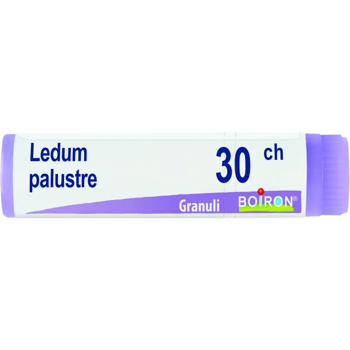 Boiron ledum palustre globuli 30ch dose 1g