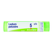 boiron ledum palustre granuli 05ch tubo 4g