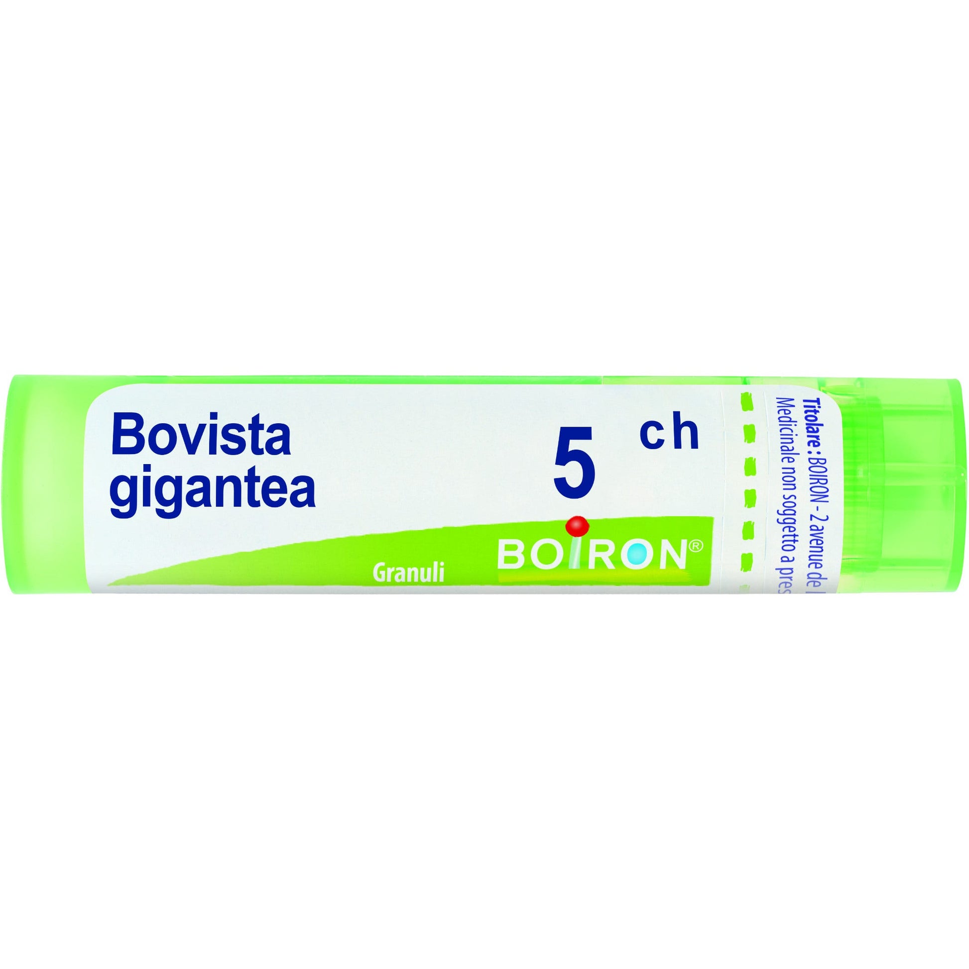 Bovista gigan boi 5ch 80gr 4g