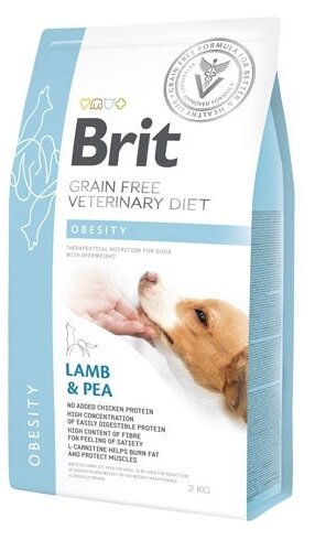 Brit veterinary diet dog obesity 12 kg