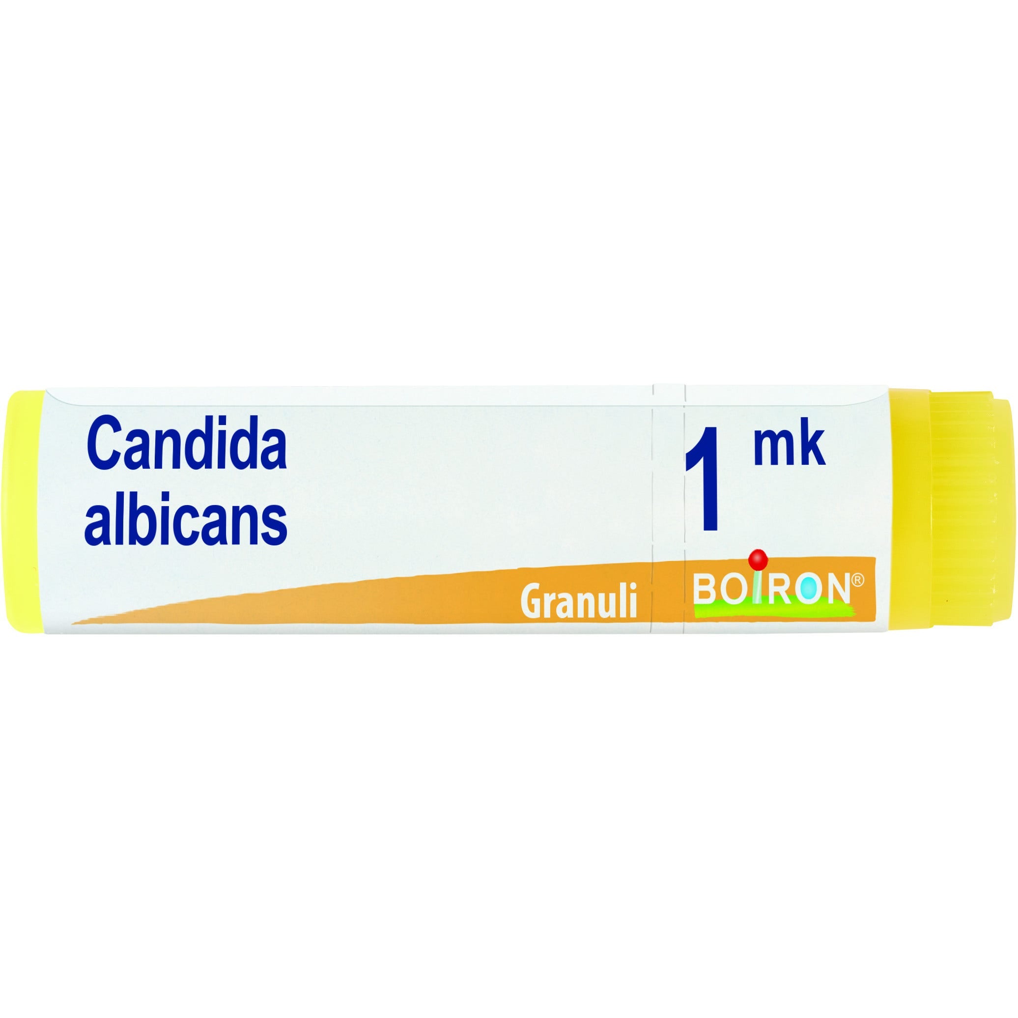 Candida albicans mk gl