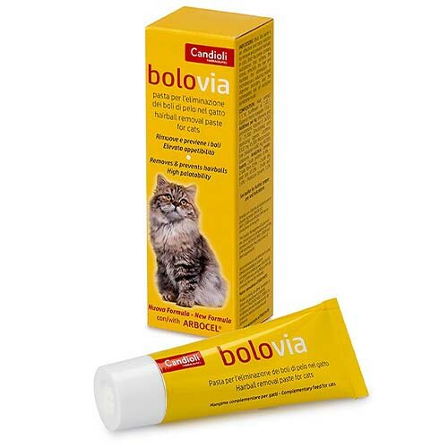 Candioli Bolo Via Pasta Per Eliminare Pelo Dei Gatti 25 Gr